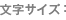 文字サイズ